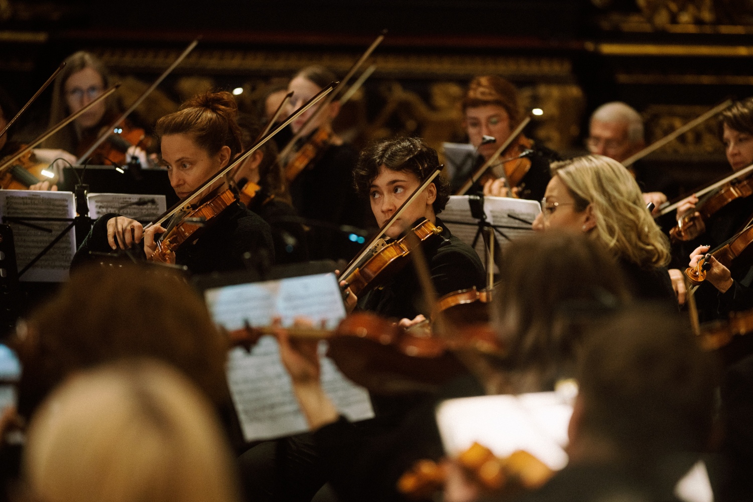 Missa brevis (Jiří Pavlica)