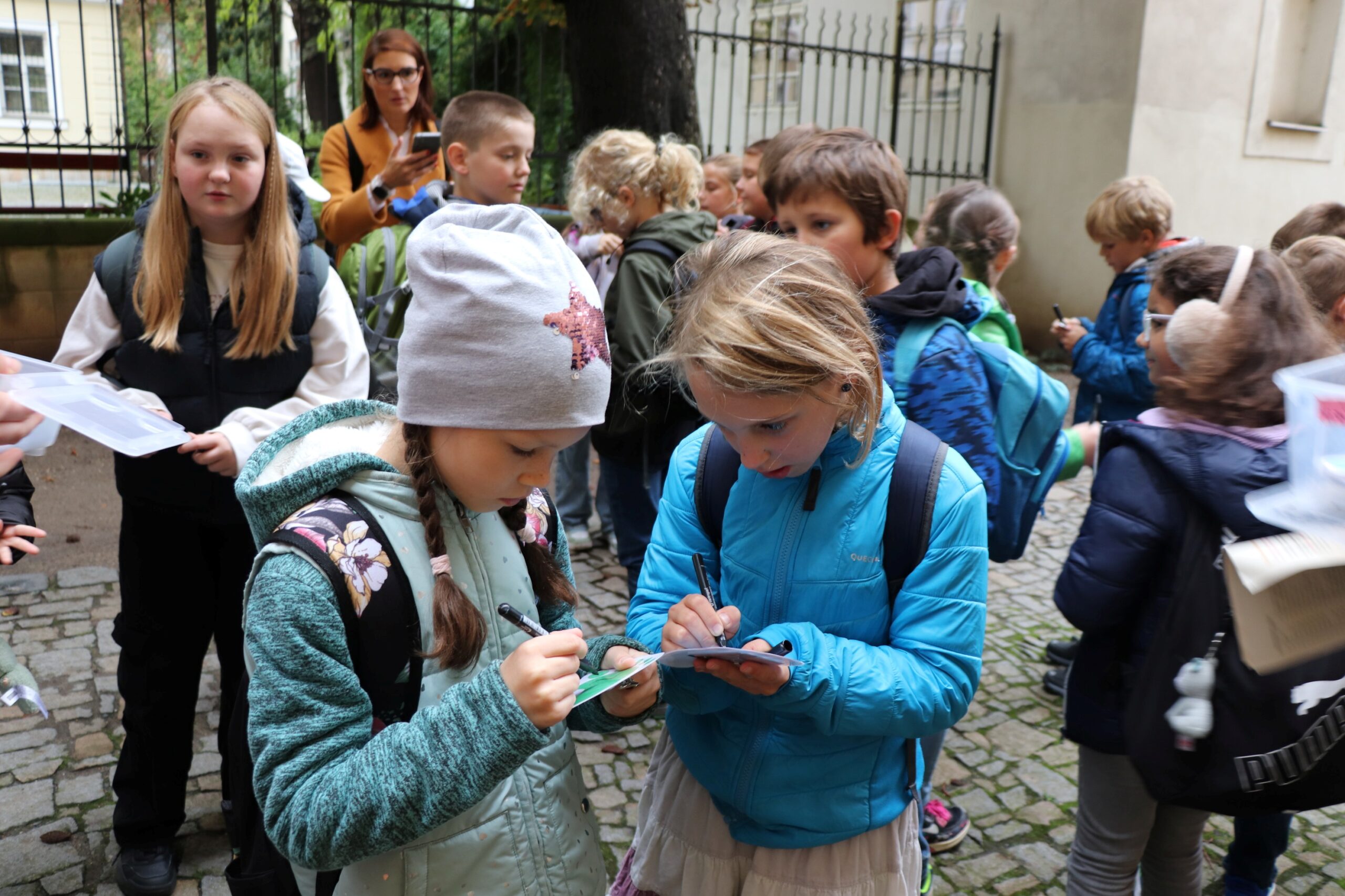 Druhy programů pro školy