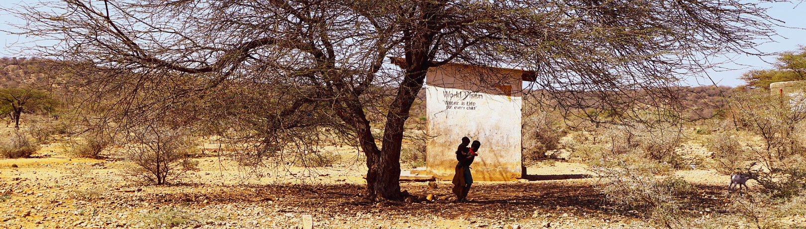 Pustina plná života